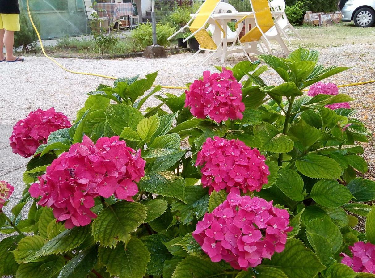La Villa Bellaria-Igea Marina Buitenkant foto